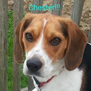 Meet your Posher, Jerin